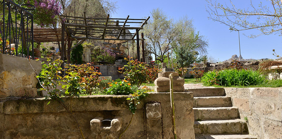 Jardín y terraza