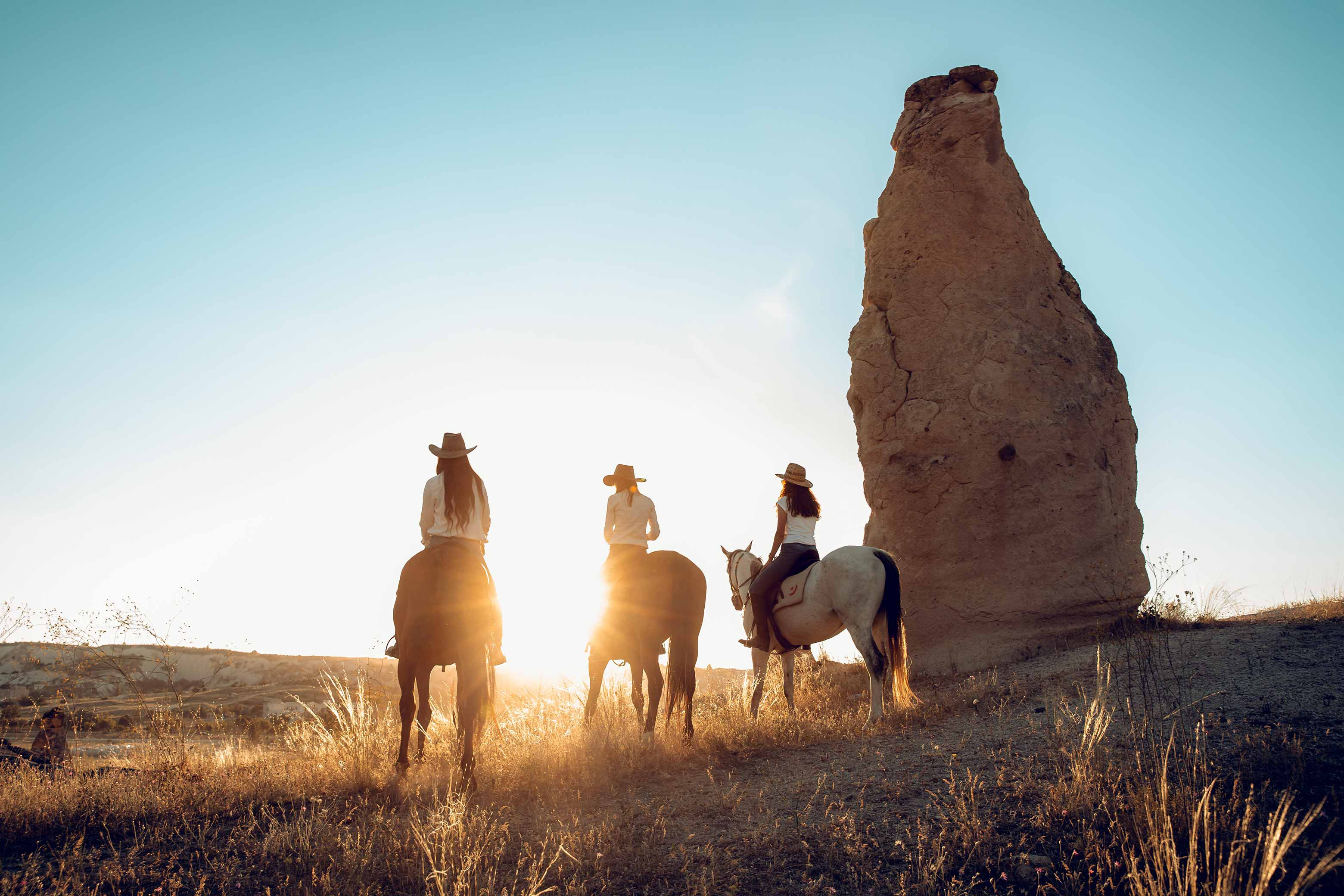 Anatolian Horses