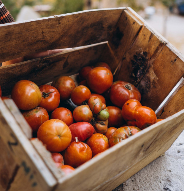 Farm Tour & organıcBreakfast ın the Valley
